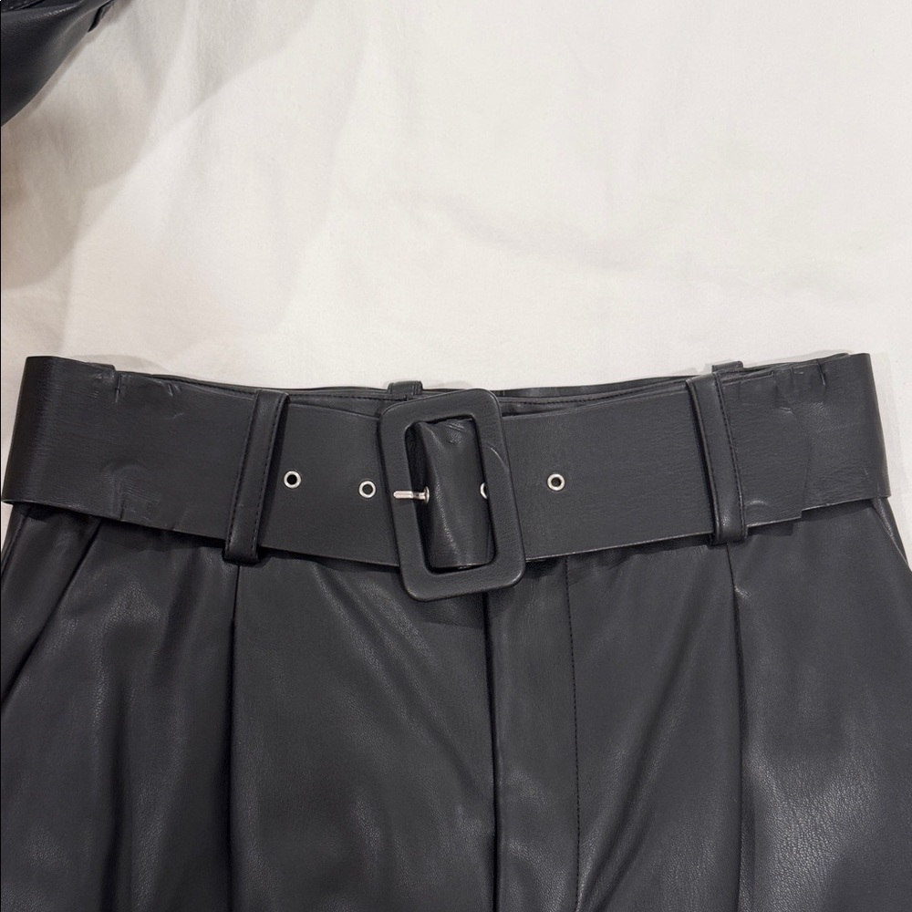 Zara Highwaisted Vegan Leather Pants - Picture 3 of 4